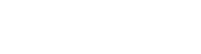 RAYS Cruceros
